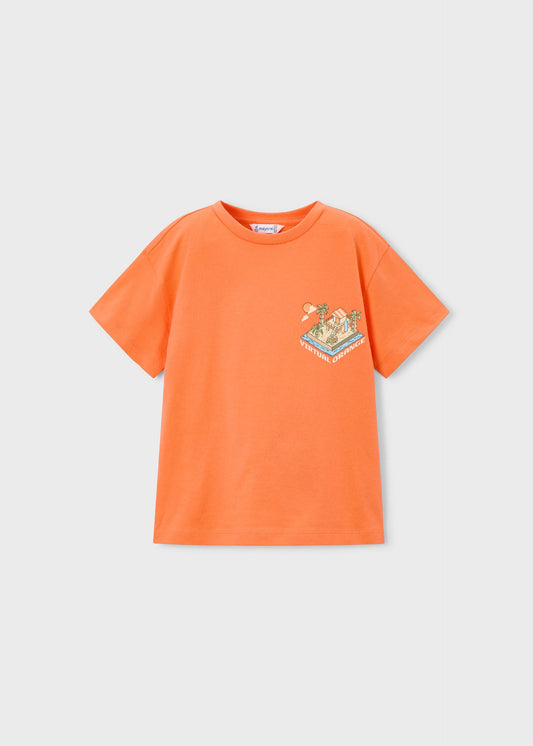 Print t-shirt boy