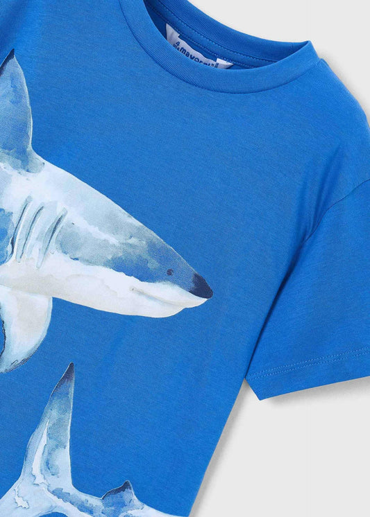 Shark t-shirt boy