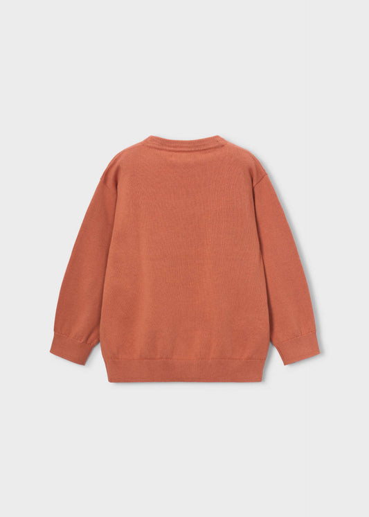 Basic jumper for boys