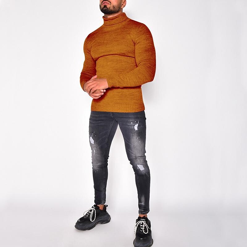 Herren Rollkragenpullover einfarbig Basic Strickpullover
