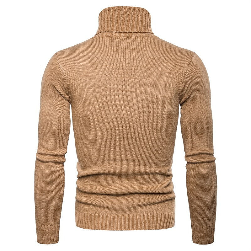 Herren Rollkragenpullover Zopfmuster Basic Strickpullover