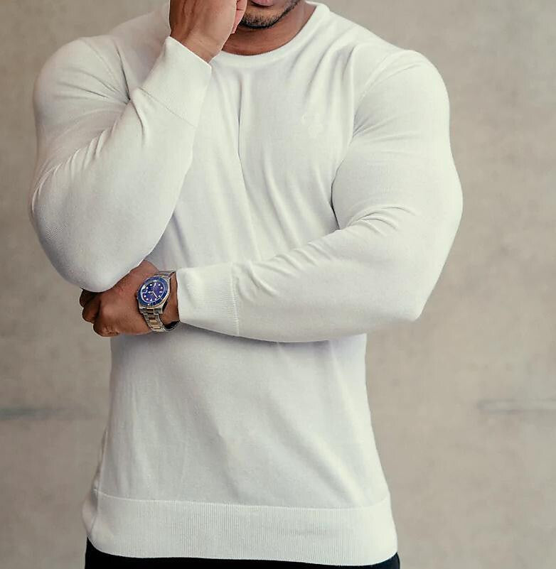 Herren Strickpullover unifarben Rundhals Basic Casual