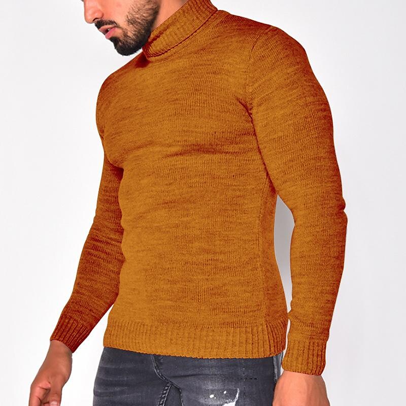 Herren Rollkragenpullover einfarbig Basic Strickpullover