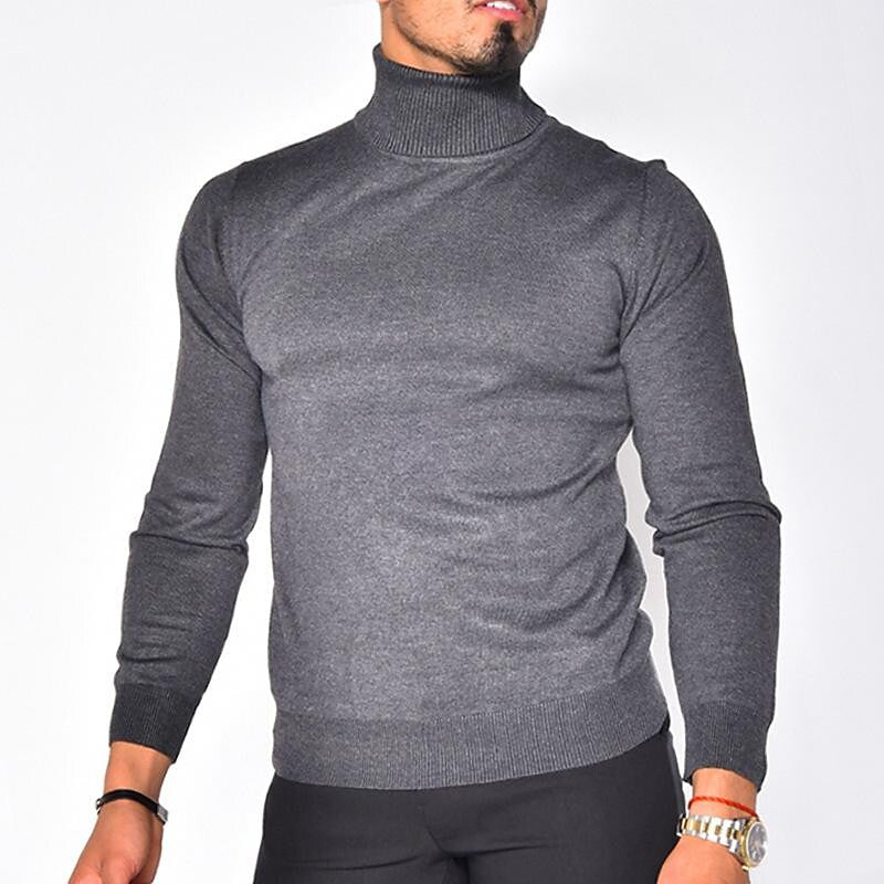 Herren Rollkragenpullover einfarbig Basic Strickpullover