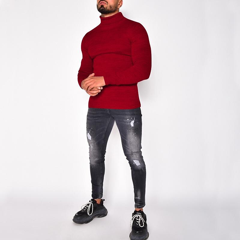 Herren Rollkragenpullover einfarbig Basic Strickpullover