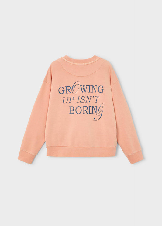 Growing Up Boston Kids Jungen-Sweatshirt
