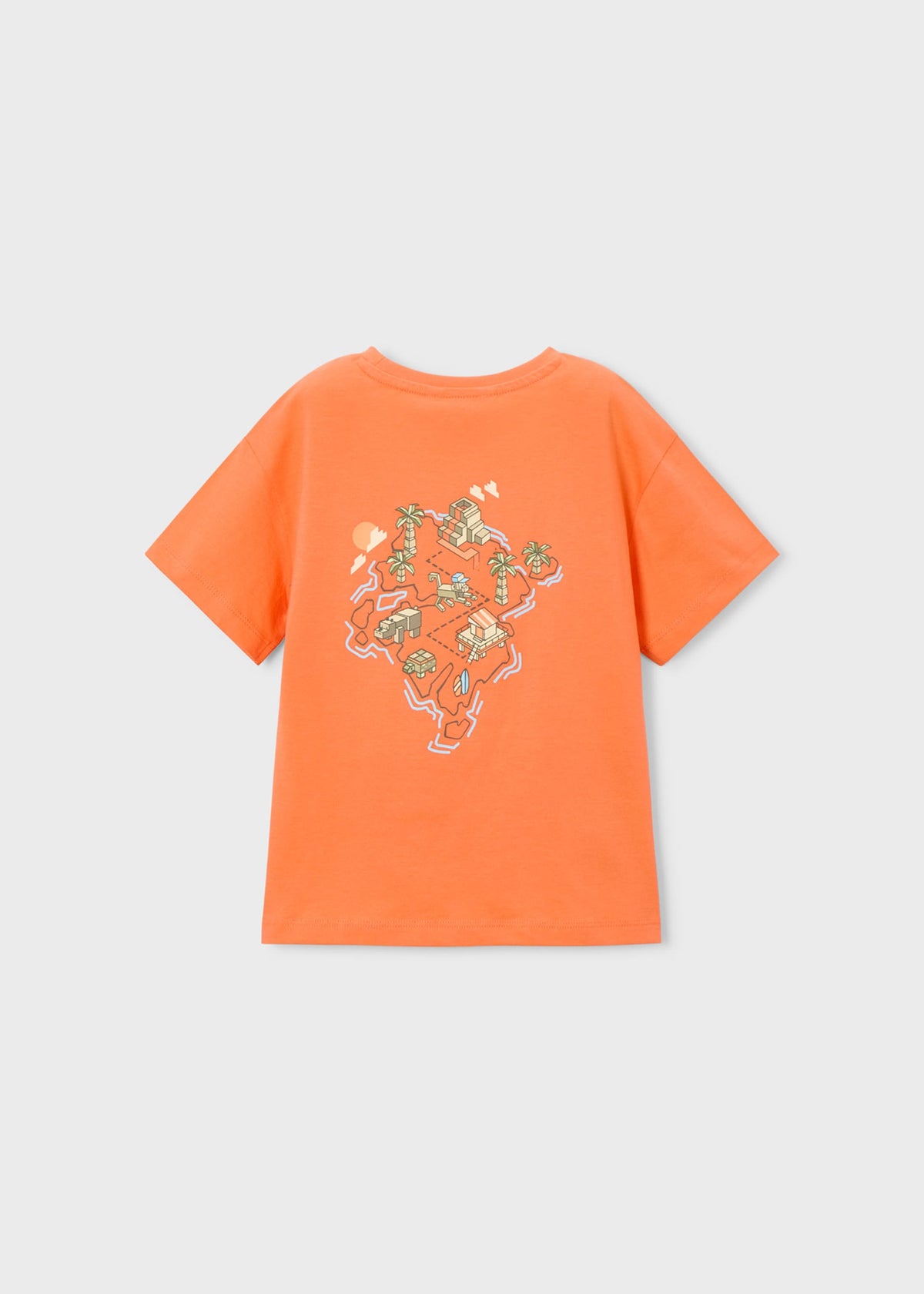 Print t-shirt boy