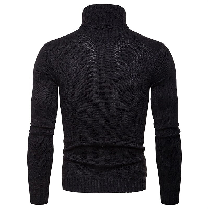Herren Rollkragenpullover Zopfmuster Basic Strickpullover