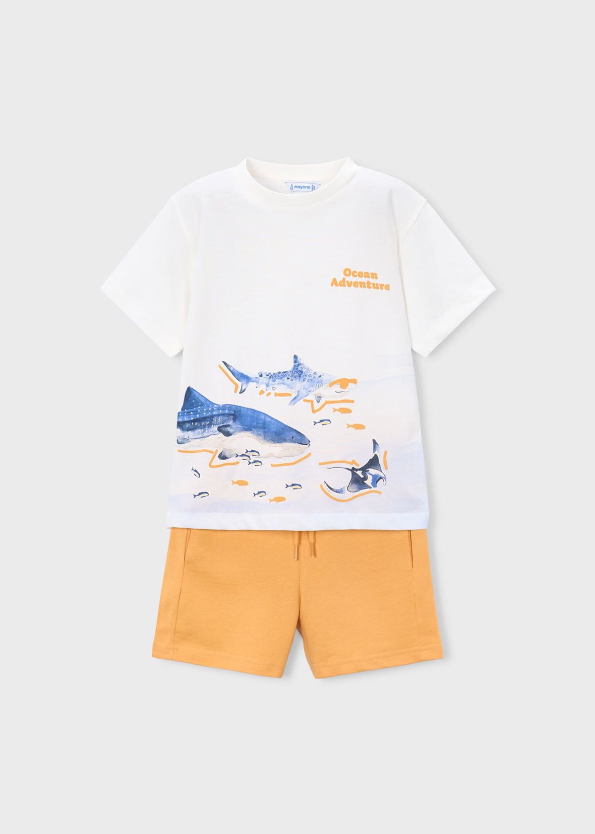 Shark knit Set boy