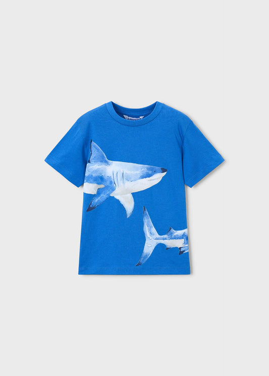 Shark t-shirt boy