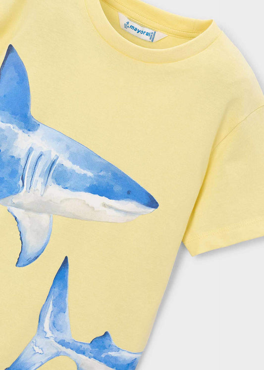 Shark t-shirt boy