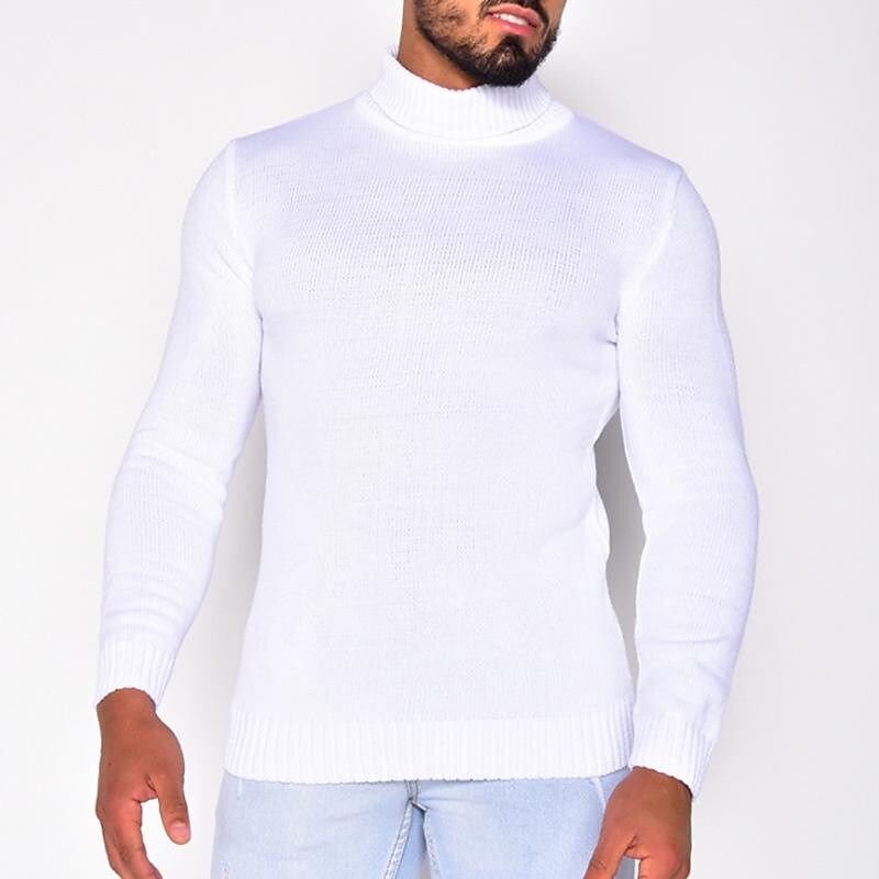 Herren Rollkragenpullover einfarbig Basic Strickpullover