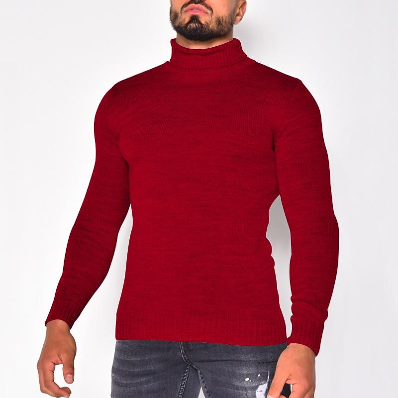 Herren Rollkragenpullover einfarbig Basic Strickpullover